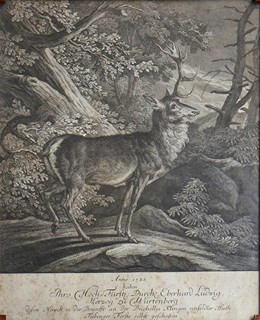 Johann Elias Ridinger (1698 - 1767) - JELEN V TÜBINGENSKÉM LESE