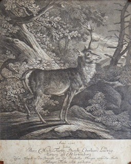 Johann Elias Ridinger (1698 - 1767) - JELEN V TÜBINGENSKÉM LESE