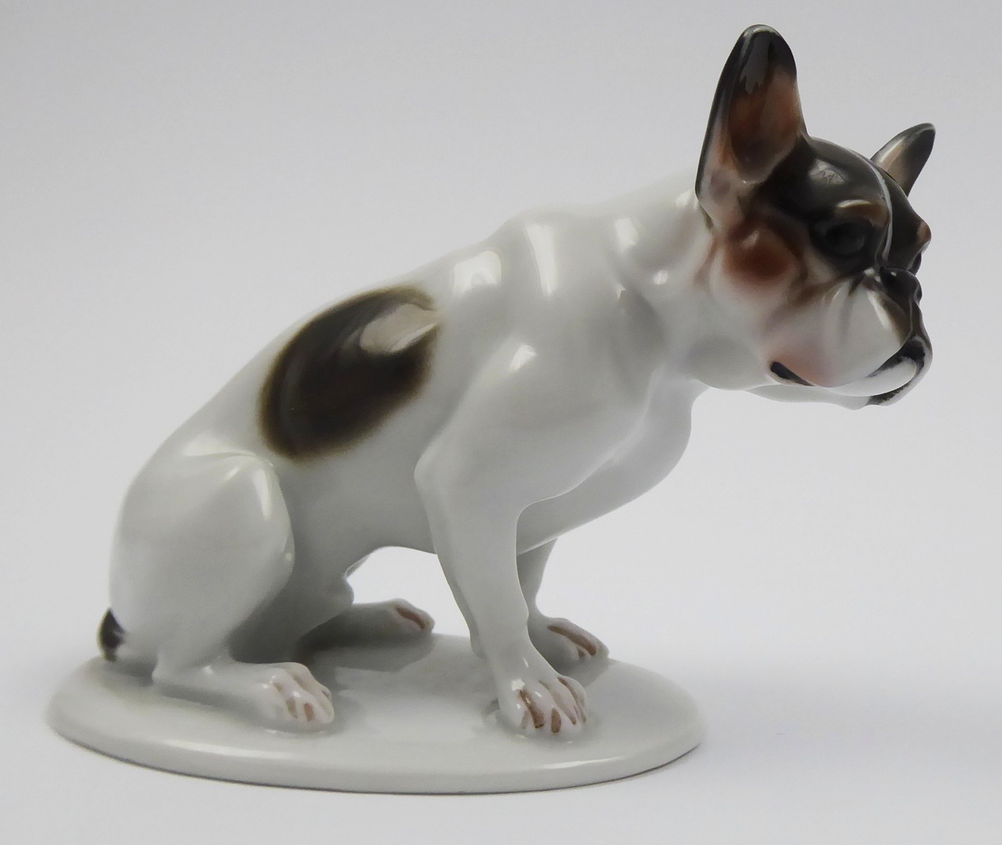 DOROTHEA MOLDENHAUER (1879-1968) - FRANCOUZSKÝ BULDOČEK - ROSENTHAL