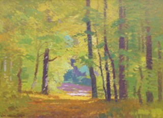 ROMAN HAVELKA (1877 - 1950) - PROSLUNĚNÝ PODZIM V LESE