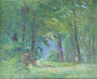 ROMAN HAVELKA (1877 - 1950) - LETNÍ NÁLADA V PODYJÍ