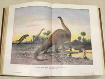 Weltall und Mensheit