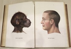 Weltall und Mensheit