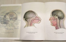 Weltall und Mensheit