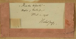 HOLUB Josef (1870 - 1957)