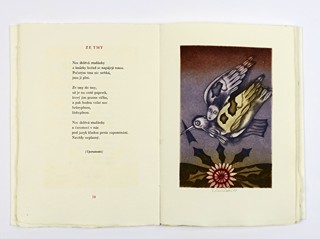 Eva Bednářová (1937 - 1986) - Donát Šajner: Pro vůni heřmánku