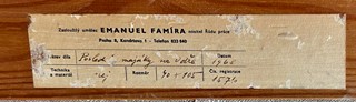Emanuel Famíra (1900 - 1970) - Poslední majáky na Odře