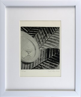 Jiří John (1923 - 1972) - Ulita