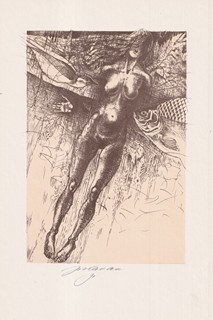 Jan Kavan - Akt