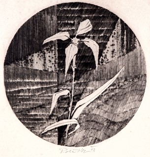 Přemysl Rolčík  - Iris