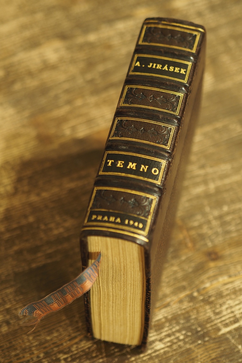Alois Jirásek (1851 - 1930) - Temno / Alois Jirásek