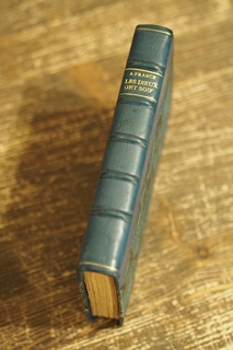 Ludvík Bradáč (1885 - 1947) - Les dieux ont soif / Anatole France ; vazba Ludvík Bradáč