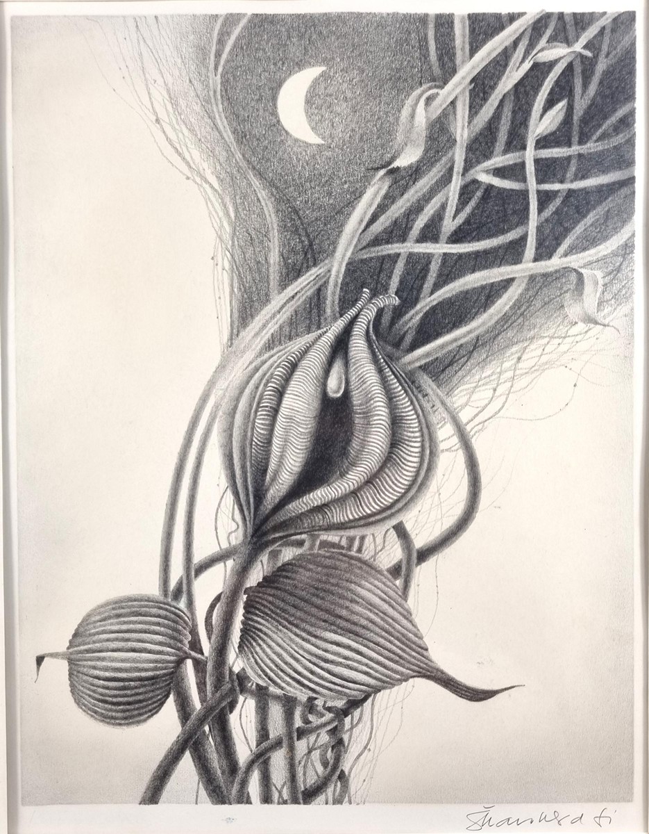 Škarohlíd Jaroslav - Flóra noci