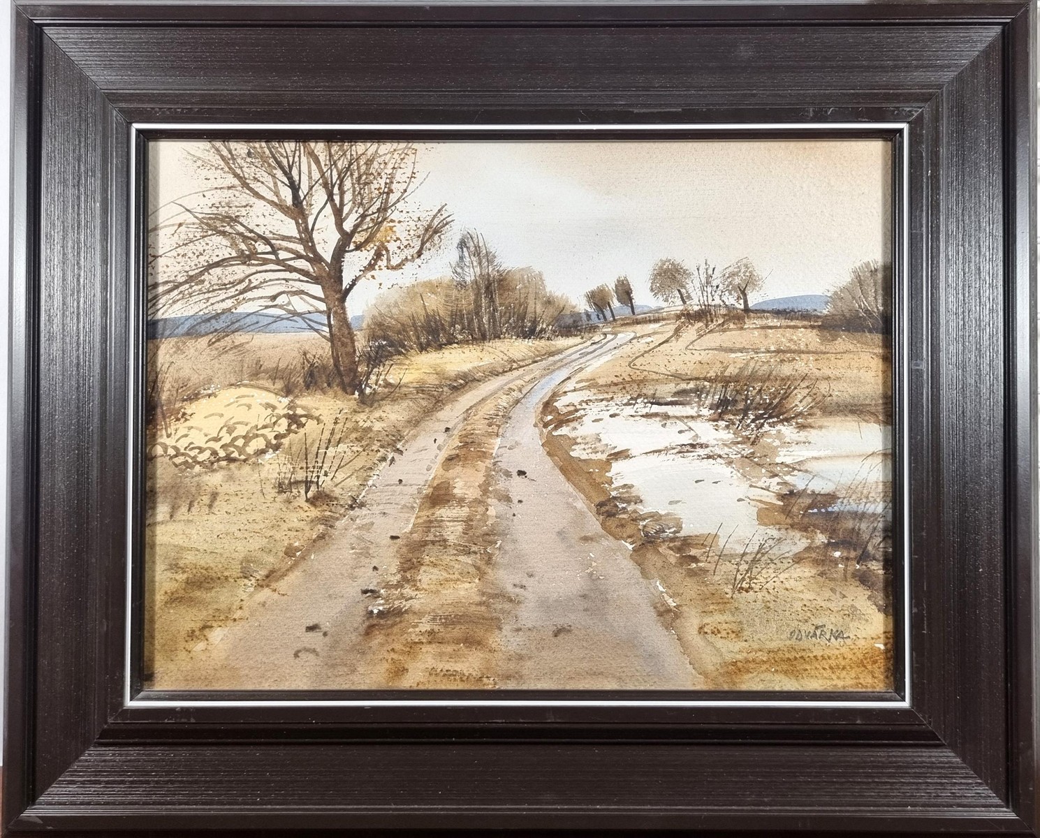 Odvárka Jan - Cesta k Javorku