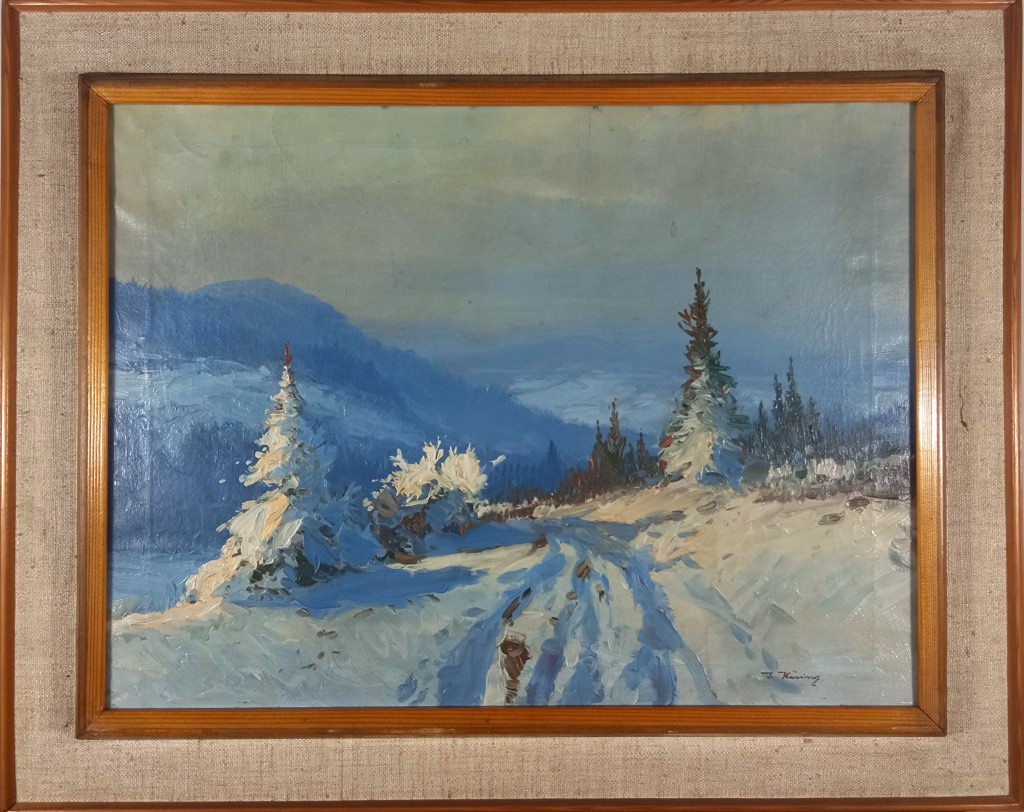 Häring Josef - Zima plná sněhu