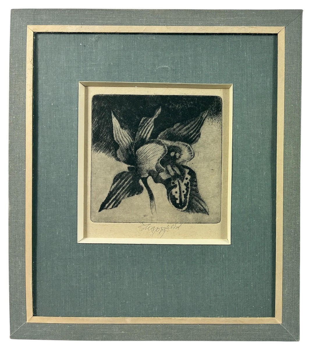 Škarohlíd Jaroslav - Orchidej