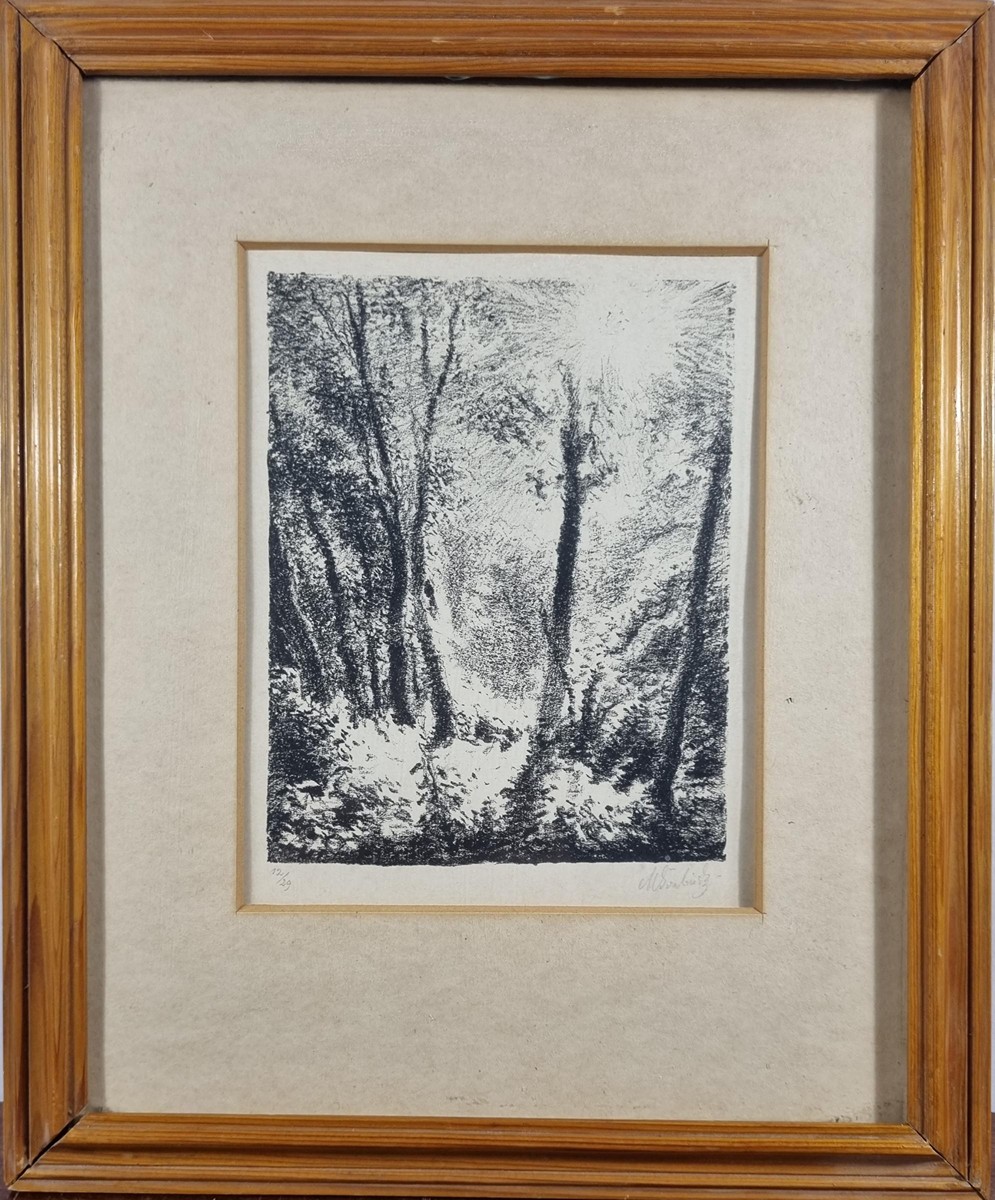 Švabinský Max - Divočina