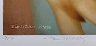 Zábranský Vlastimil - Zplozenci nebe