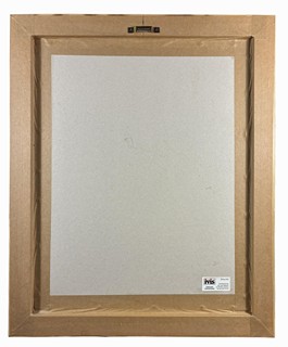 Zábranský Vlastimil - Zplozenci nebe