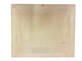 Macoun Gustav - Zbytky sněhu u chalupy