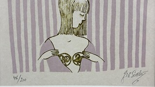 Suchý Jiří - Sen o pětikorunách