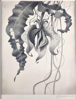 Škarohlíd Jaroslav - Snová rostlina