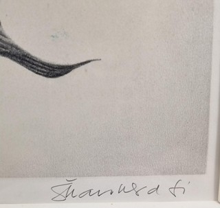 Škarohlíd Jaroslav - Flóra noci