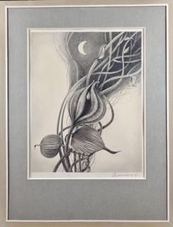 Škarohlíd Jaroslav - Flóra noci