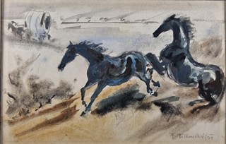 Bílkovský František - Černí hřebci