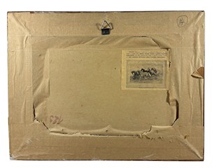 Bílkovský František - Divizny v zahradě