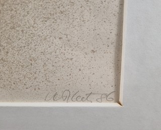 Vašíček Vladimír - Rozmach