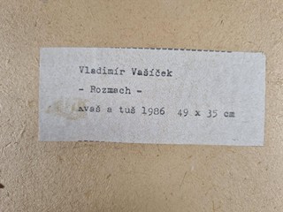 Vašíček Vladimír - Rozmach