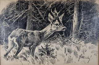 Židlický Jiří - Srnec