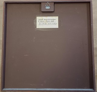 Bruckmüller Josef - Z cyklu Kulty ohně