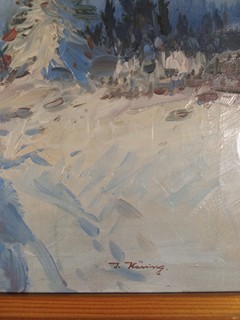 Häring Josef - Zima plná sněhu