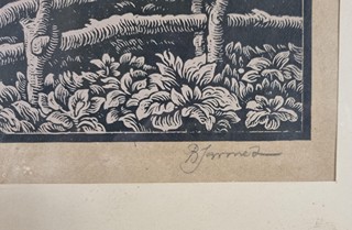 Jaroněk Bohumír - Horská krása Beskyd