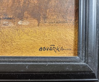 Odvárka Jan - Podzimní údolí