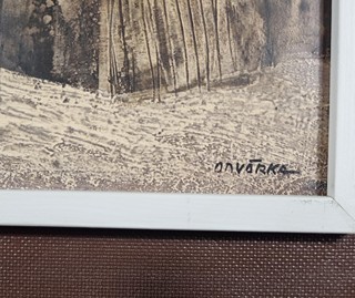 Odvárka Jan - Na Moravské Svratce