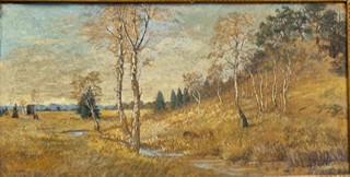 Břízky u bystřiny