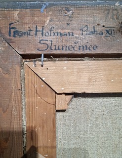 Hofman František - Slunečnice
