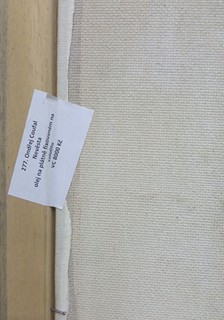 Coufal Ondřej - Nevěsta