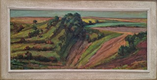 Bačovský Pavel - Krajina ve svahu