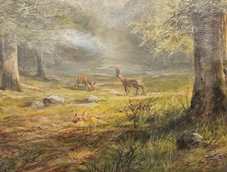 Sommer Georg - Srny na lesní mýtině