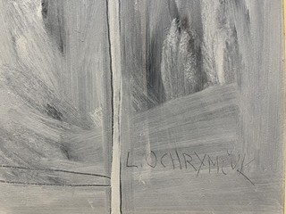 Ochrymčuk Leonid - Pocta lékaři