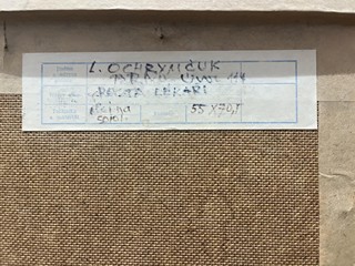 Ochrymčuk Leonid - Pocta lékaři