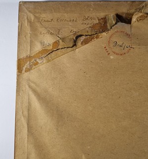 Kocourek František - Zátiší na žlutém pozadí