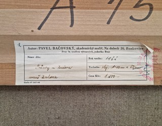 Bačovský Pavel - Krajina ve svahu