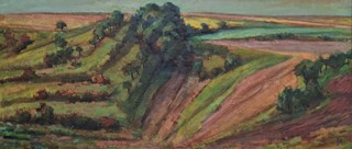 Bačovský Pavel - Krajina ve svahu