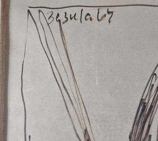 Zezula Milan - Chaotický portrét