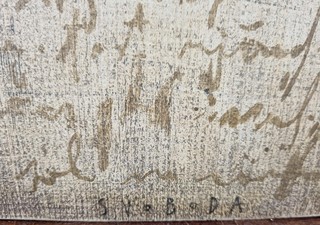 Svoboda Jan - Návrh ptáka